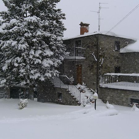 Agriturismo La Casina Caprese Michelangelo Kültér fotó