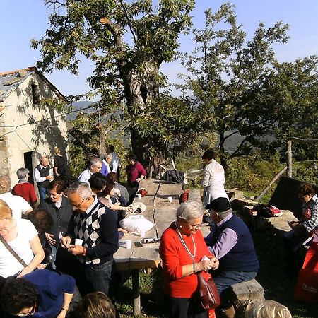Agriturismo La Casina Caprese Michelangelo Kültér fotó