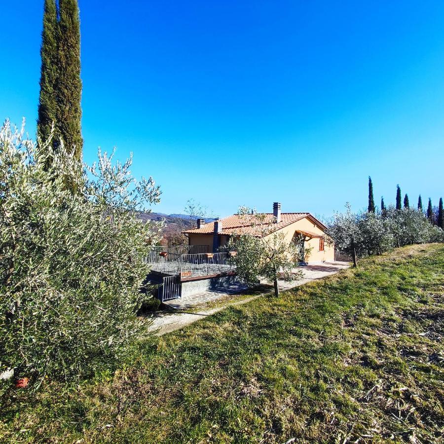 Agriturismo La Casina Villa Caprese Michelangelo Kültér fotó