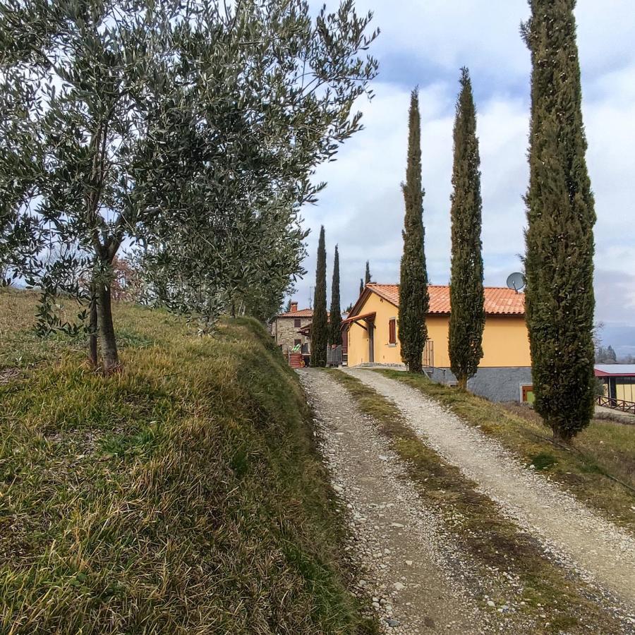Agriturismo La Casina Caprese Michelangelo Kültér fotó