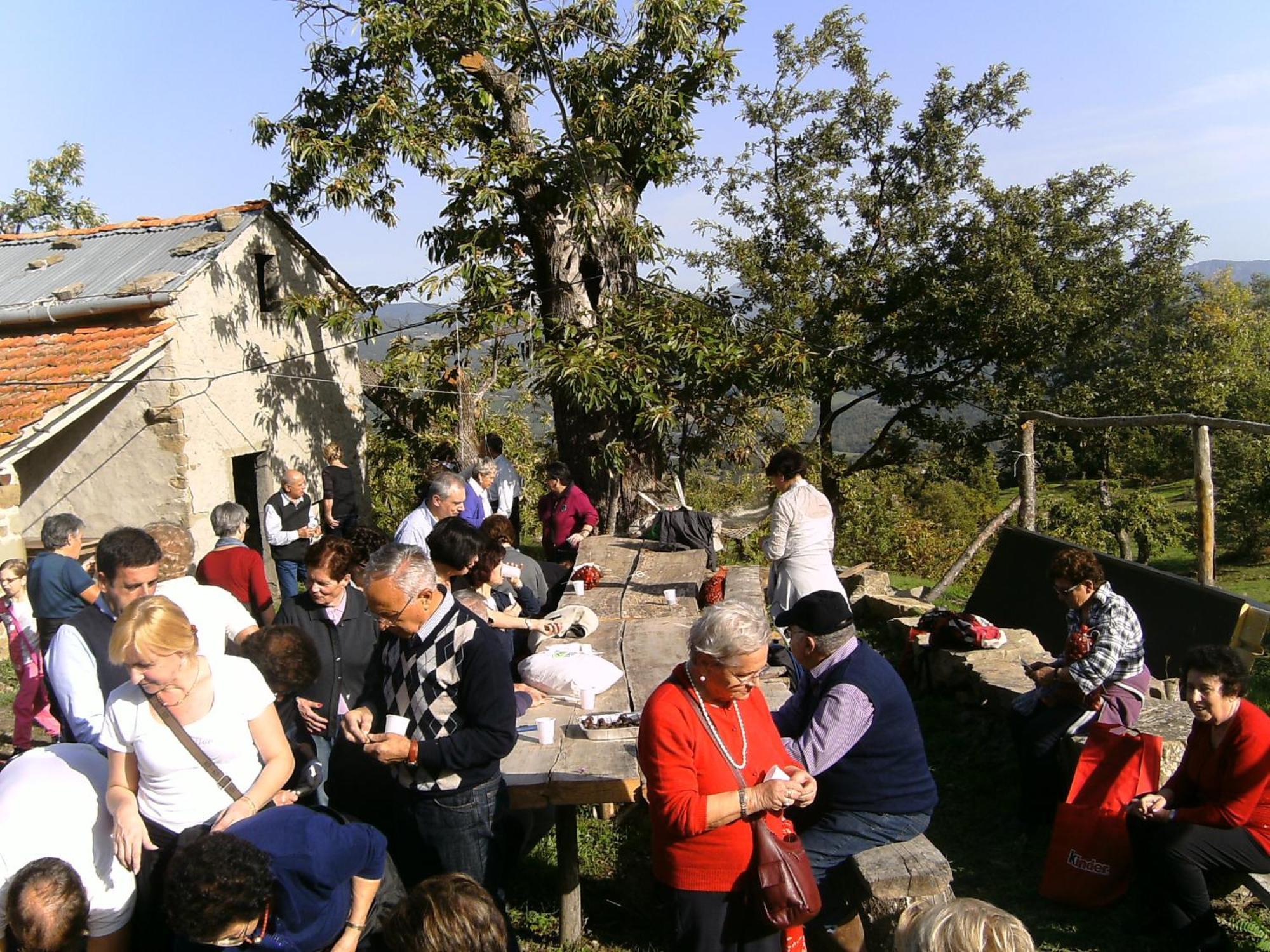 Agriturismo La Casina Caprese Michelangelo Kültér fotó